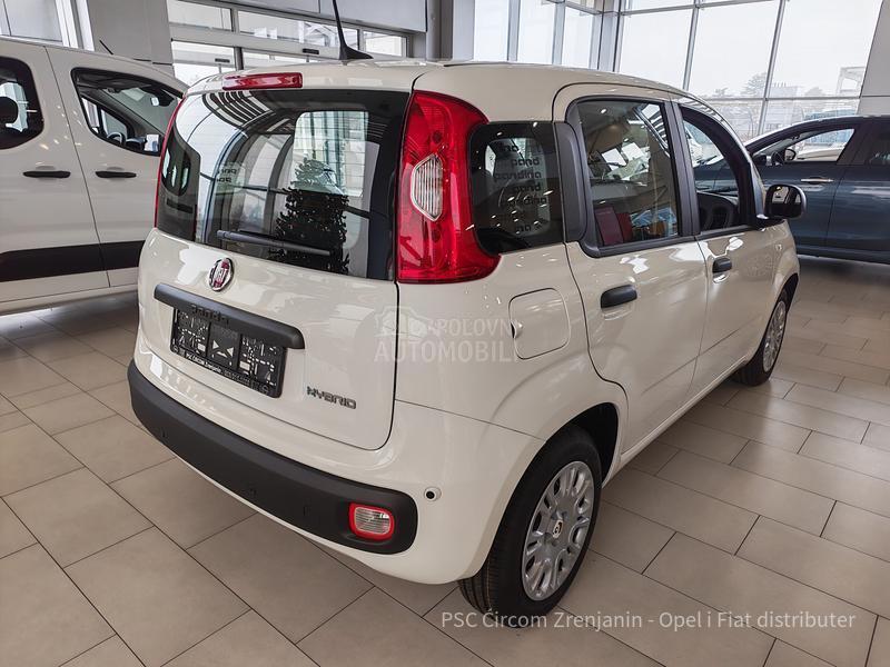 Fiat Panda ICON Hybrid