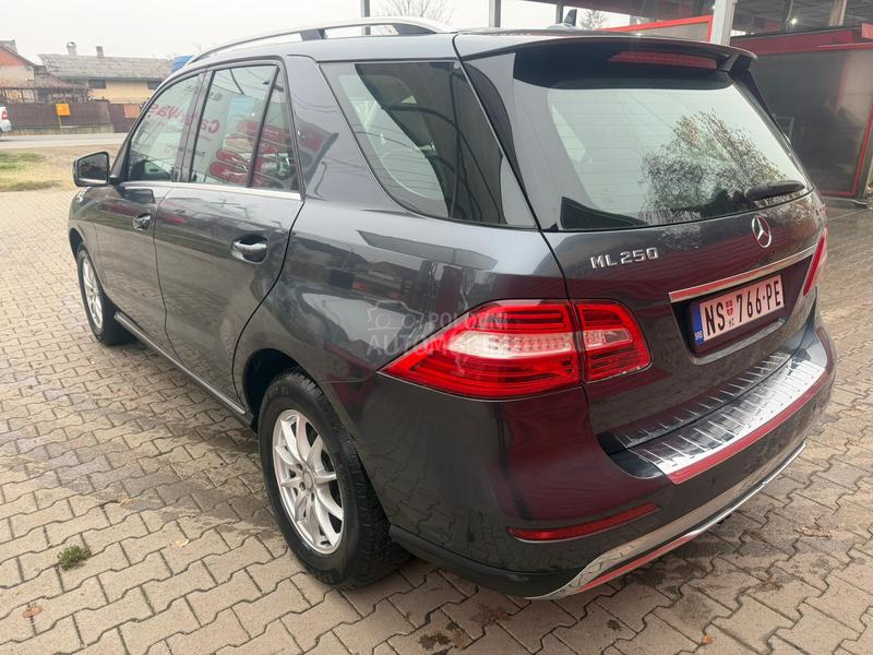 Mercedes Benz ML 250 