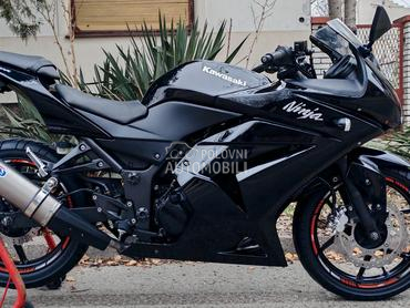 Kawasaki NINJA 250