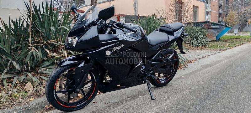 Kawasaki NINJA 250