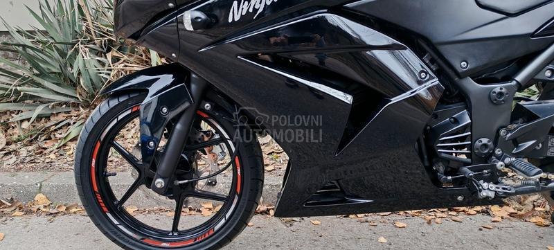 Kawasaki NINJA 250