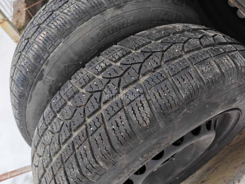 Taurus 195/65 R15 Zimska