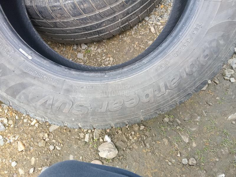 Apollo 215/65 R16 Zimska