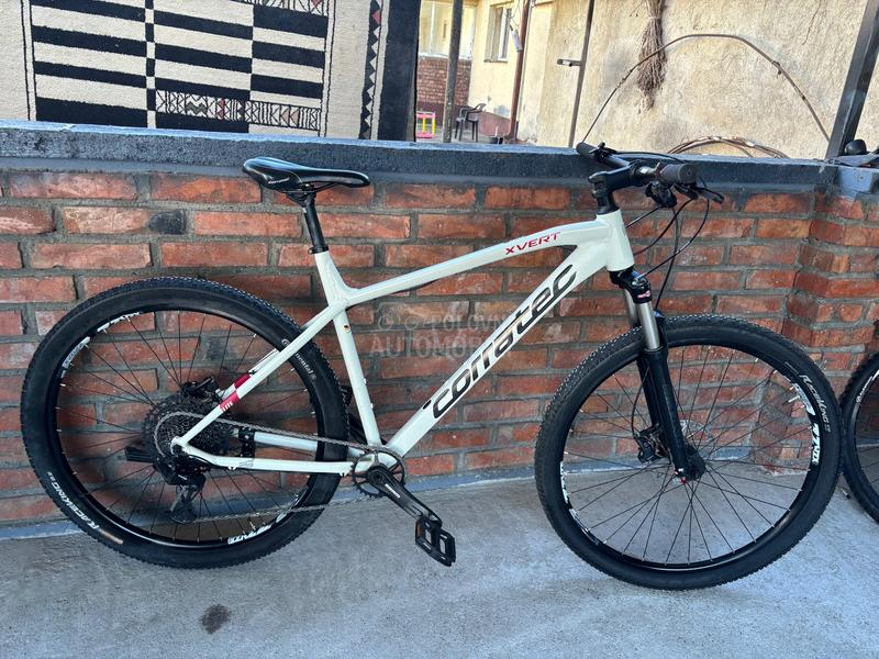 Corratec X Vert 29er 1x12 XL