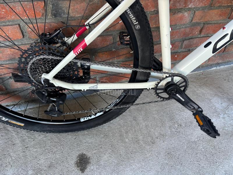 Corratec X Vert 29er 1x12 XL