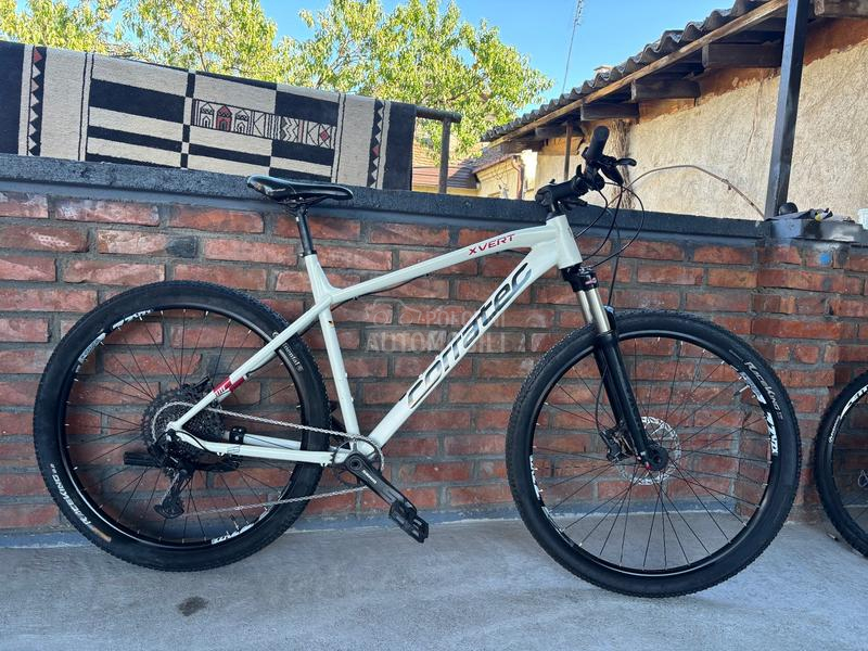 Corratec X Vert 29er 1x12 XL