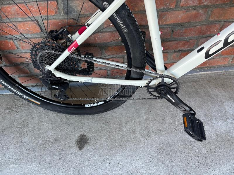 Corratec X Vert 29er 1x12 XL