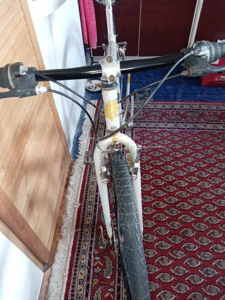 Capriolo DIAMOND BACK