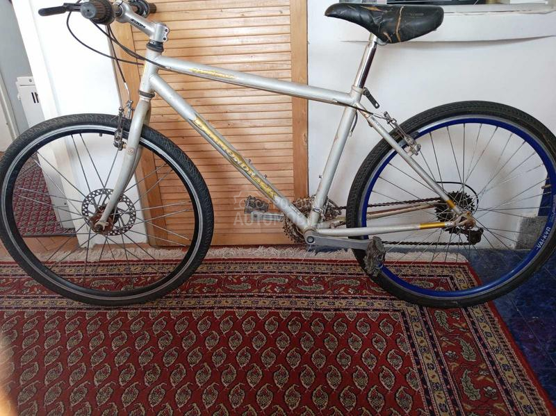 Capriolo DIAMOND BACK