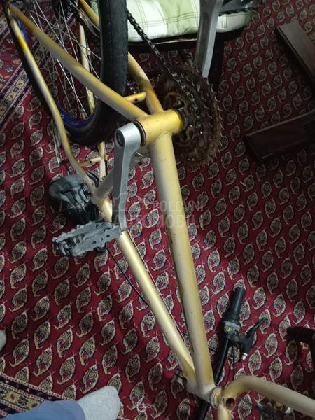 Capriolo DIAMOND BACK