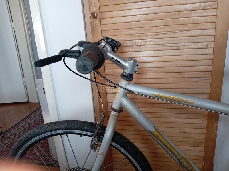 Capriolo DIAMOND BACK