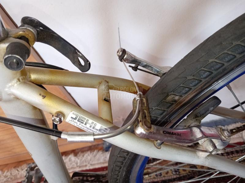 Capriolo DIAMOND BACK