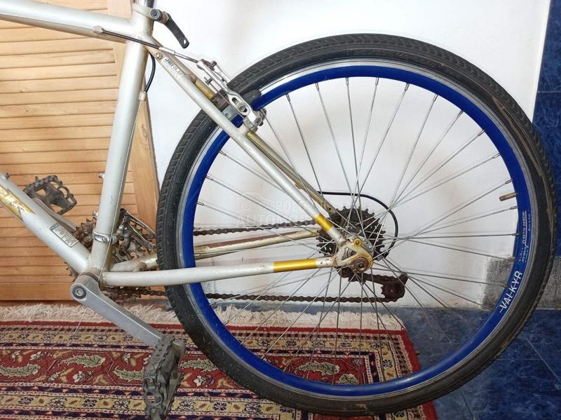 Capriolo DIAMOND BACK