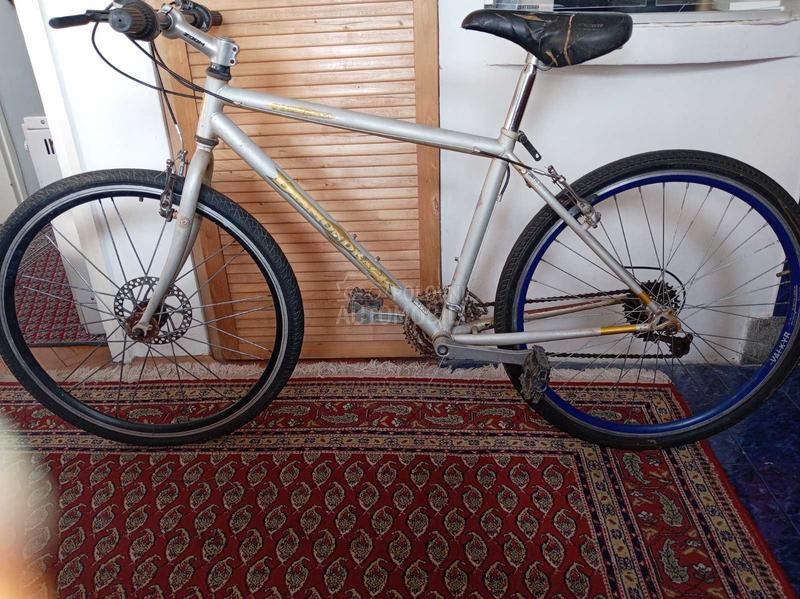 Capriolo DIAMOND BACK