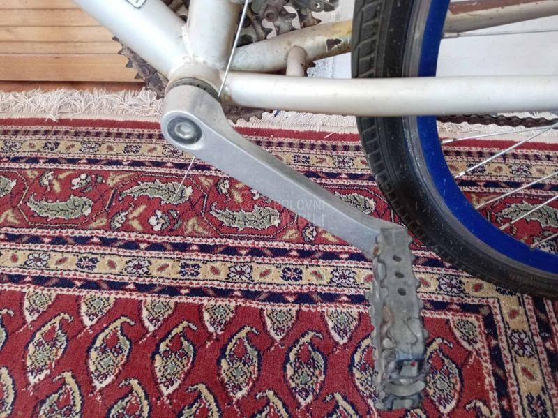 Capriolo DIAMOND BACK