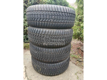 Sava 205/50 R17 Zimska