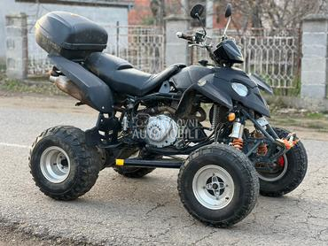 Bashan 300cc domaci papiri