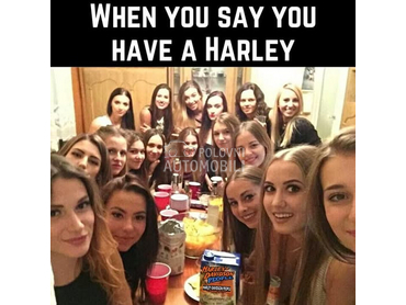 Harley Davidson Sportster 883 xl