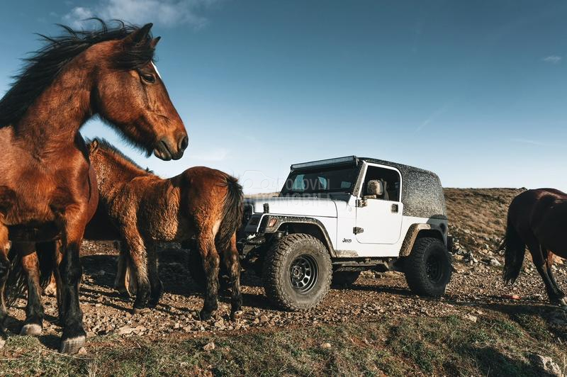 Jeep Wrangler 