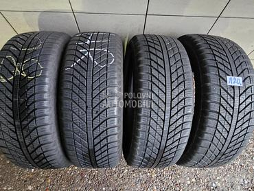 Goodyear 205/55 R16 Sve sezone