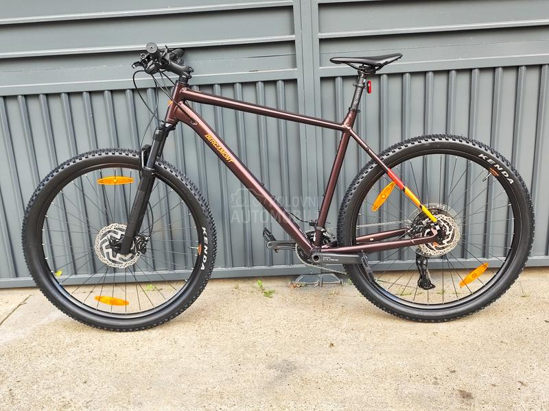 Bergamont Revox 29er XXL