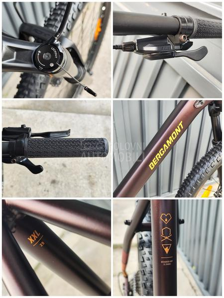 Bergamont Revox 29er XXL