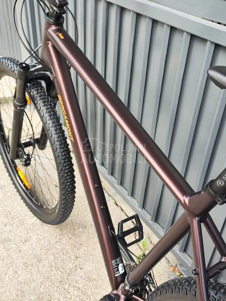 Bergamont Revox 29er XXL
