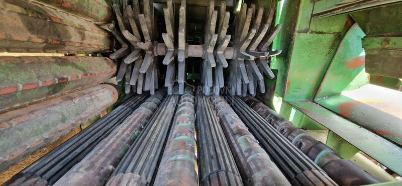 Gitarić Berač kukuruza