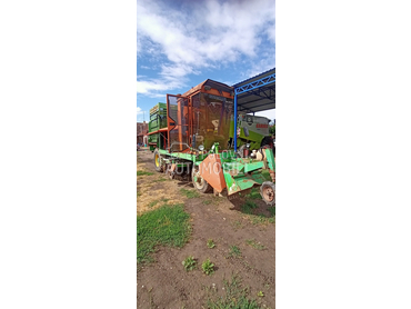 Guaresi Vadilica cveklu repu