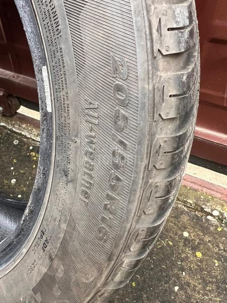 Nexen 205/55 R16 Sve sezone