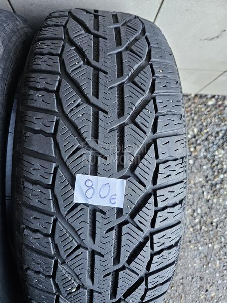 Riken 215/65 R16 Zimska
