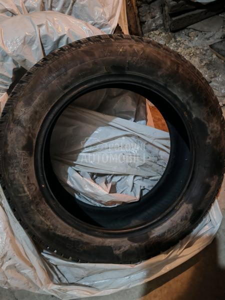 Taurus 185/65 R15 Zimska