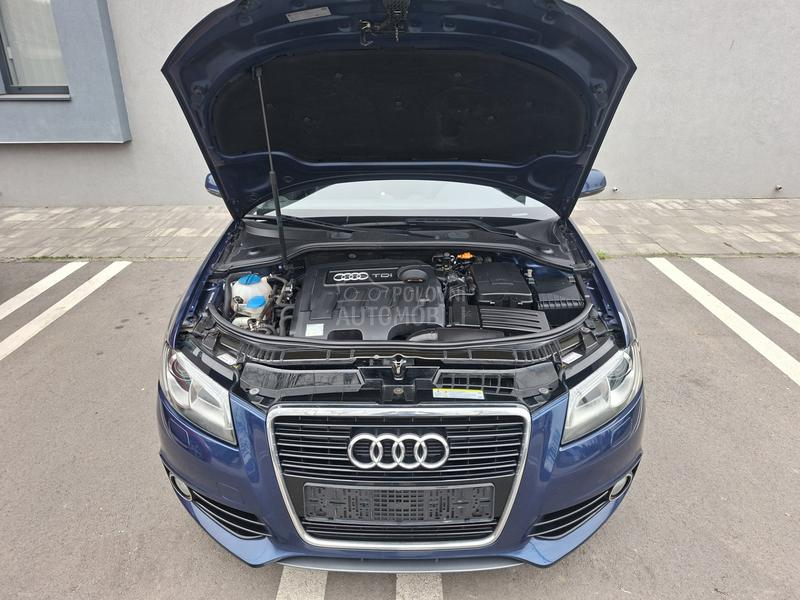 Audi A3 1.6. 3XS-LINE  77