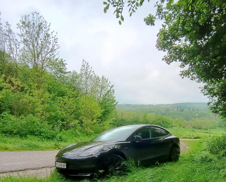 Tesla Model 3 PERFORMANCE
