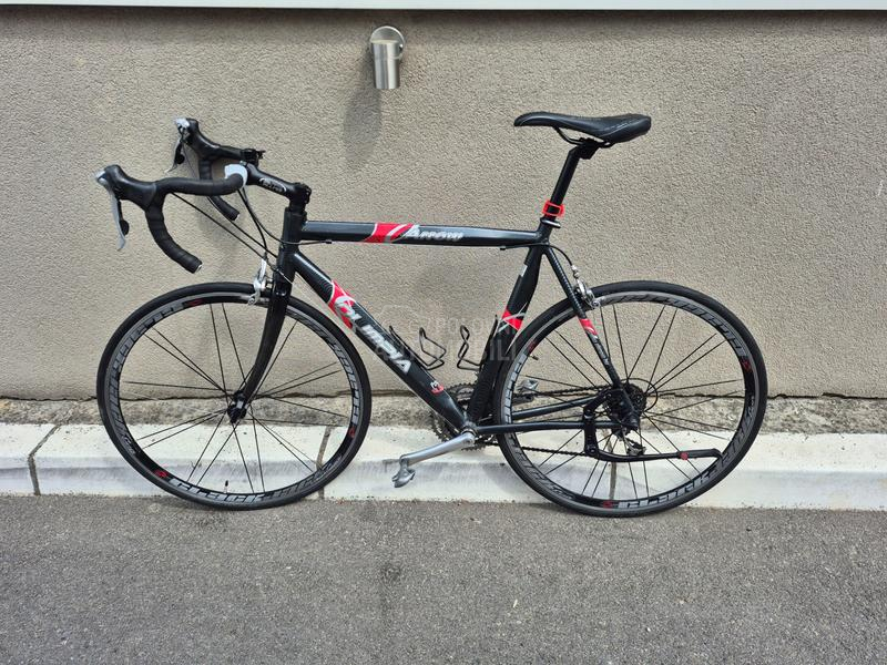 OLIMPIA arrow XL 10.5kg