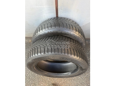 Nexen 225/55 R17 Zimska