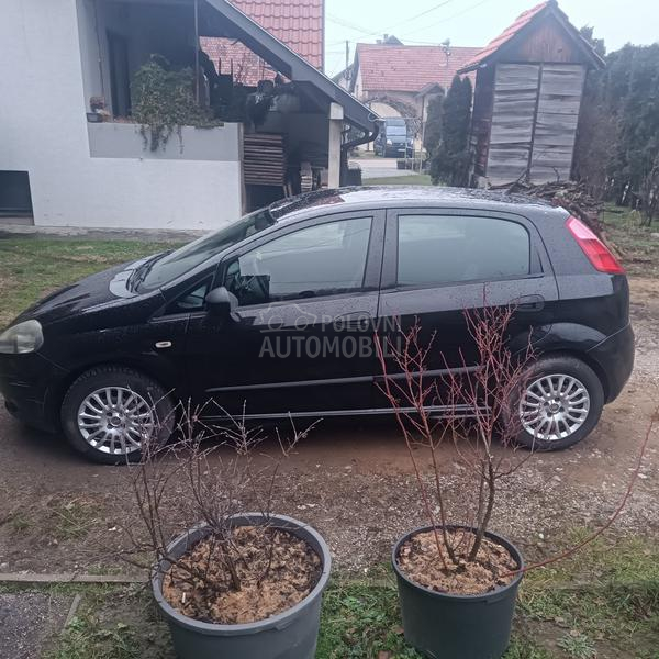 Fiat Punto 