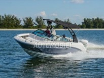 Sea ray 250 SDX OB 