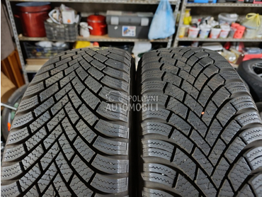 Nexen 195/65 R15 Sve sezone