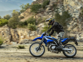 Yamaha WR125R