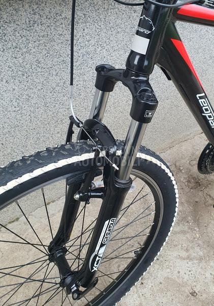 LEOPARD ROCK CAT 3X8 FS