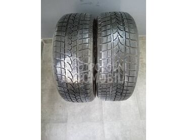 Taurus 225/55 R17 Zimska