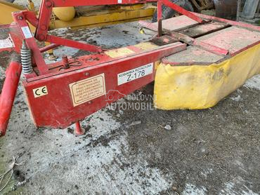 Lisicki kosacica 165