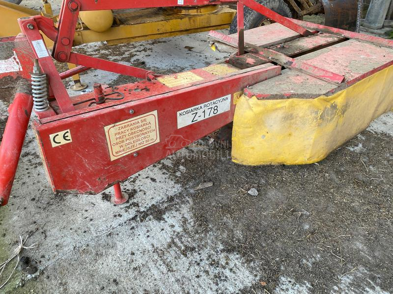 Lisicki kosacica 165