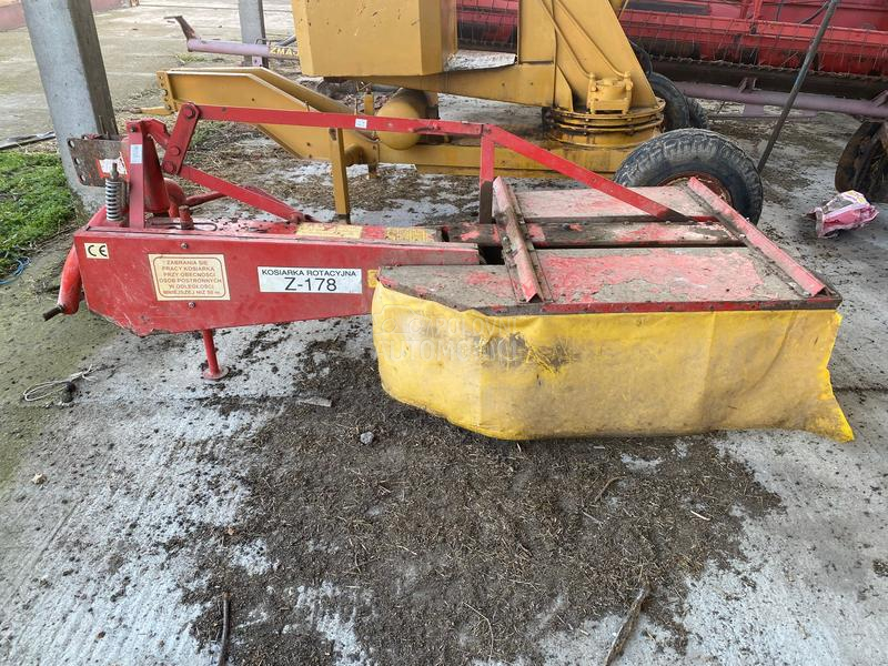 Lisicki kosacica 165