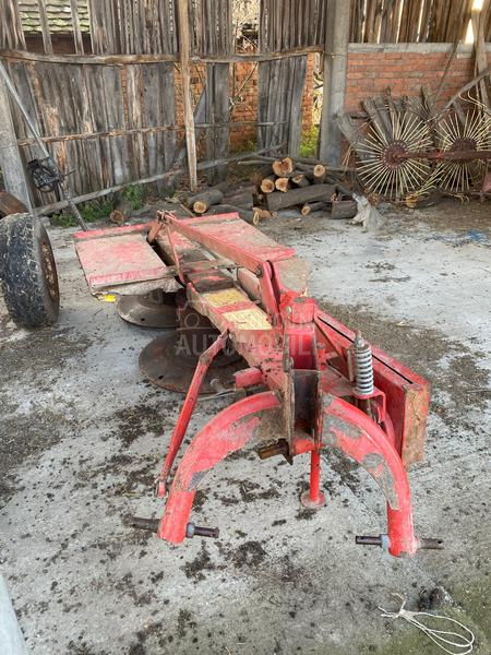 Lisicki kosacica 165