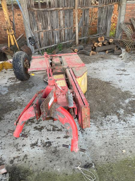 Lisicki kosacica 165