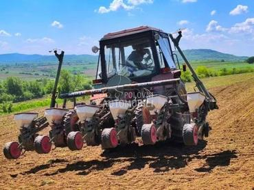 Majevica Maja 6 redi