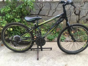 Scout Fox 240 Crno Zuti