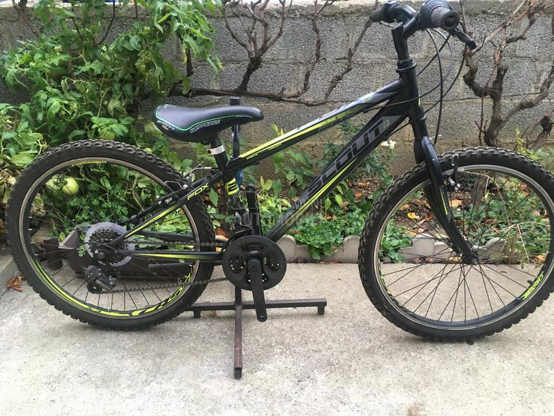 Scout Fox 240 Crno Zuti